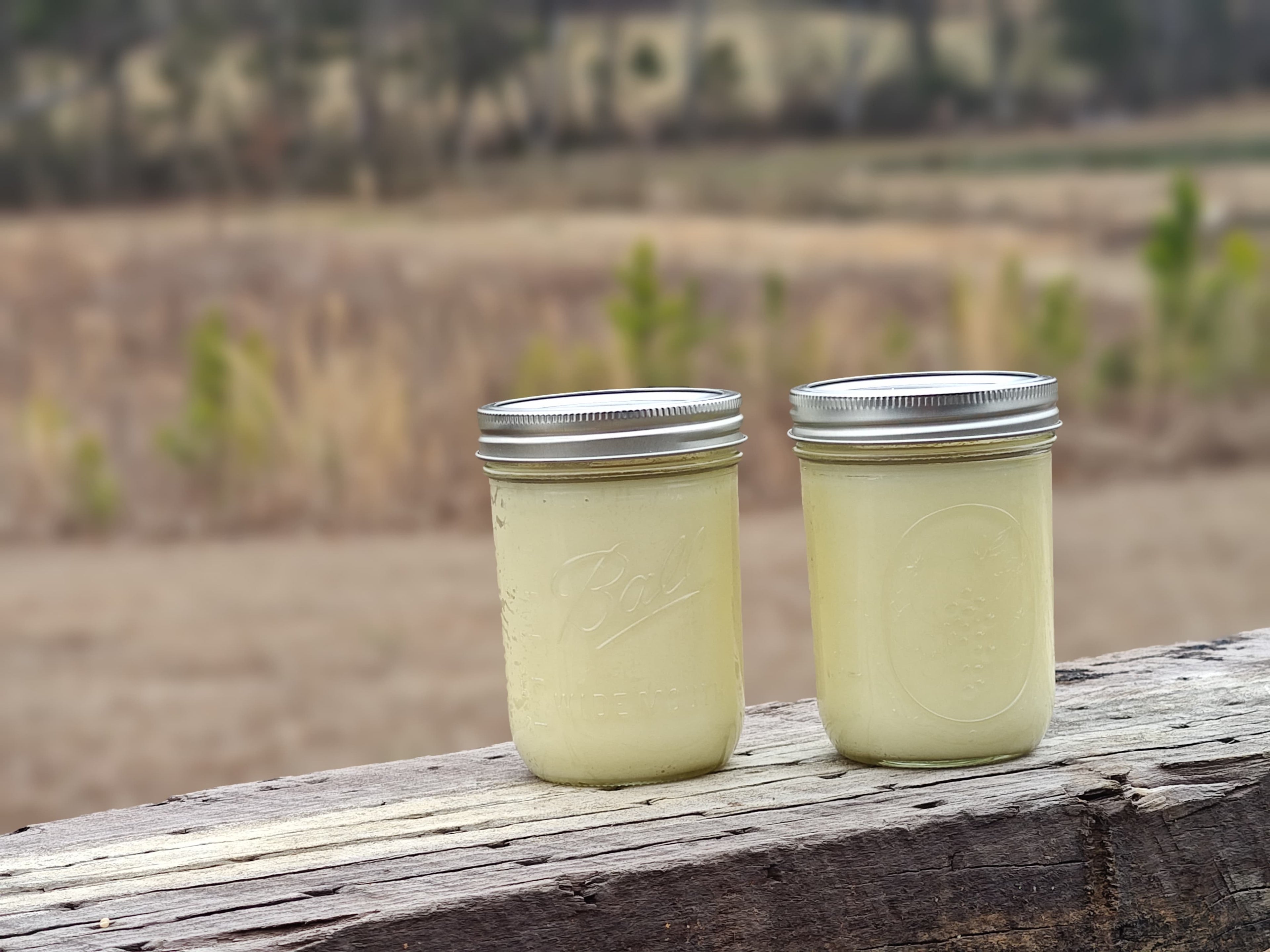 16oz Grass Fed Beef Tallow